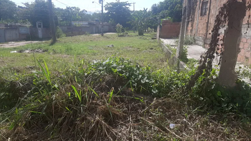 Entrada da via é comprometida pelo mato