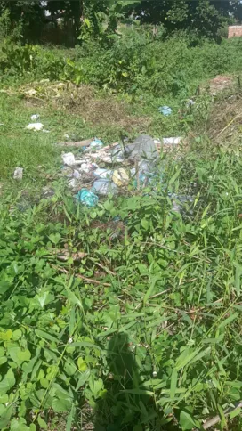 Mato toma conta da via