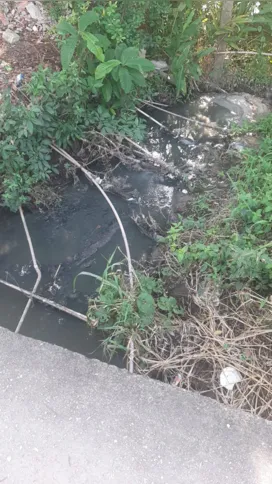 Esgoto a céu aberto