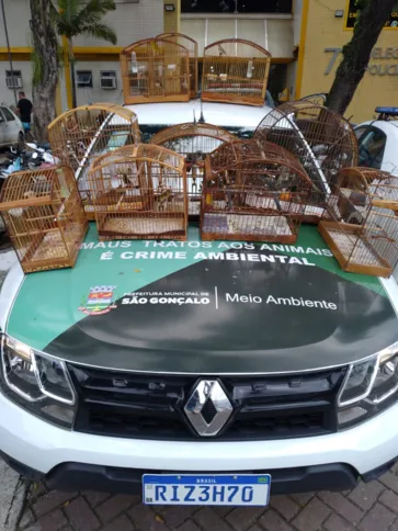 Imagem ilustrativa da imagem Meio Ambiente resgata aves silvestres no Porto Novo, em São Gonçalo