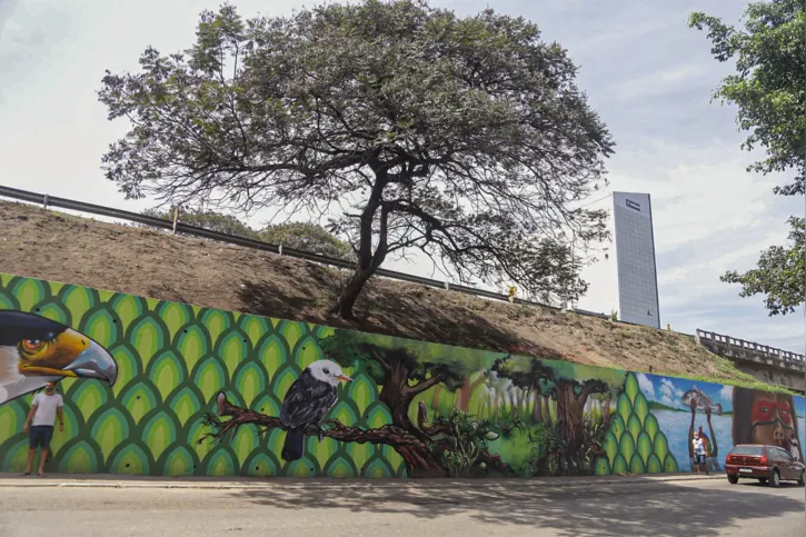 Os grafites do local contam a história de SG 