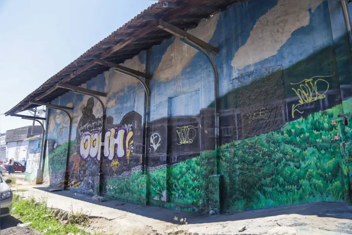 Os grafiteiros falaram sobre a pichação em desenhos no Zé Garoto