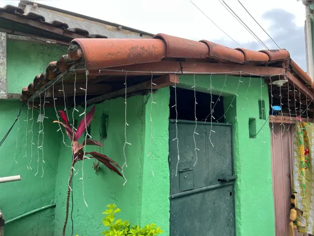 O casal colocou luzes pisca-piscas até na casa do cachorro 