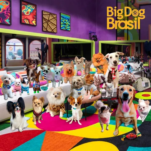 O Big Dog Brasil possui 20 contas de Instagram participantes 