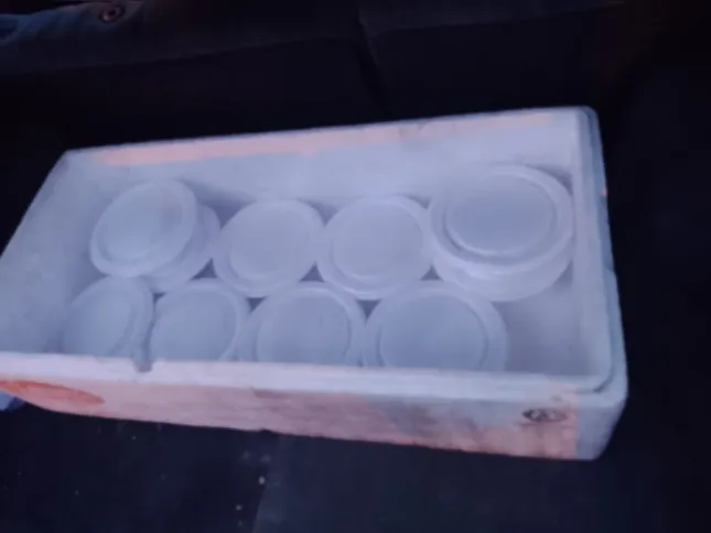 O projeto leva os alimentos para moradores de rua uma vez na semana