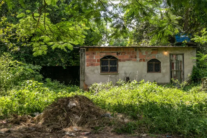 Lixo é despejado no local e o mato cresce ao redor das casas