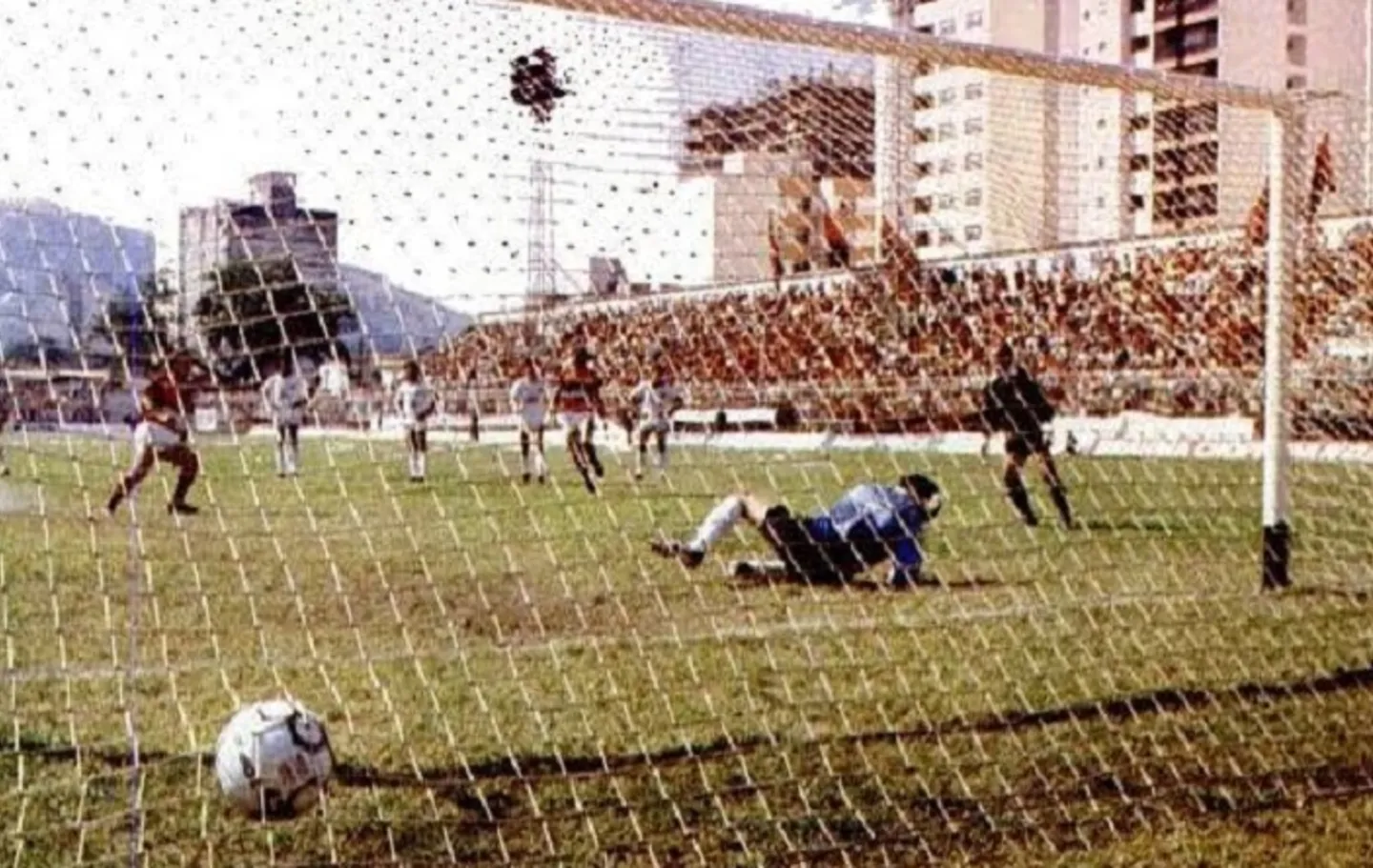 Estádio Caio Martins - Wikipedia