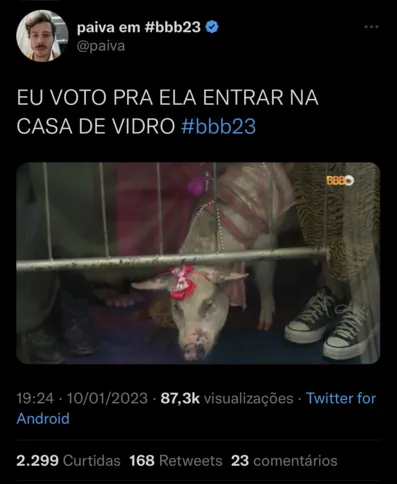 Imagem ilustrativa da imagem Casa de vidro coloca BBB em 1º lugar nos assuntos mais falados no Twitter brasileiro