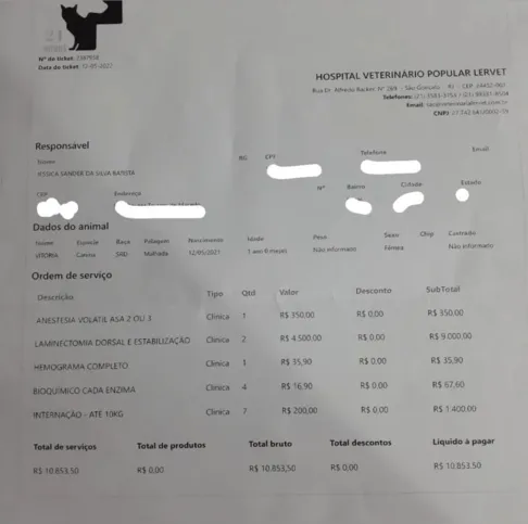 Os procedimentos para a cachorra custam mais de R$10 mil