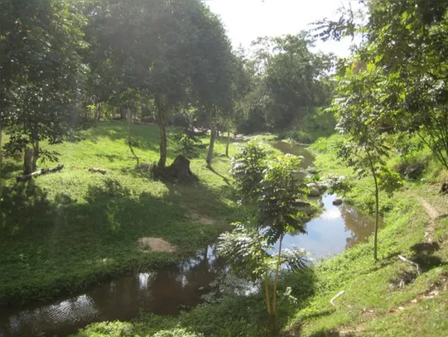 Serra do Camburi oferece aos visitantes muito verde