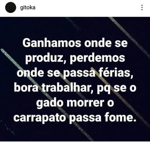 Postagem associa nordestinos aos carrapatos da mensagem: “Se o gado morrer, o carrapato passa fome”. A fala ainda afirma que o Nordeste seria para “passar férias”, enquanto as demais regiões produzem