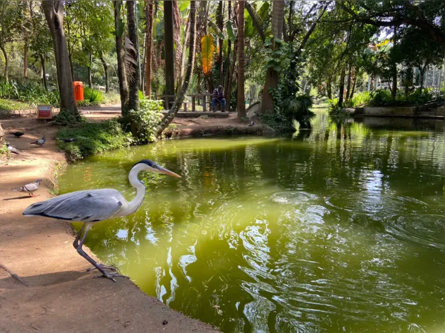 O território abrigava uma área de restinga que era frequentemente alagado pelo Rio Icaraí