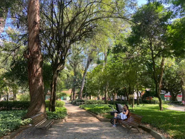 Diversos bancos são dispostos pelo território do parque