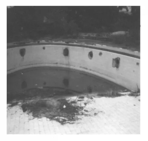 Registro da piscina oval do Palacete