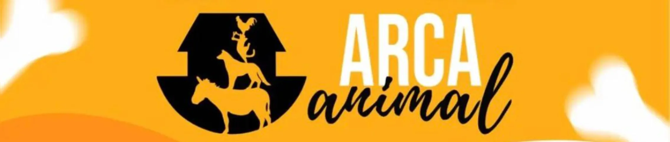 O projeto Arca Animal existe desde 2012