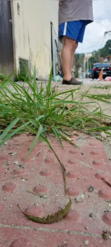 O piso instalado na rua e nas vias próximas à casa em que o músico mora faz com que ele possa se locomover de forma independente pelo local