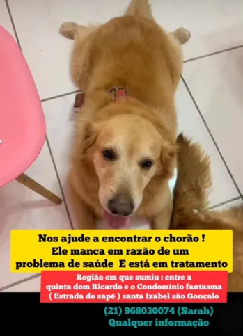 Em caso de qualquer informação, entrar em contato com a tutora de Chorão