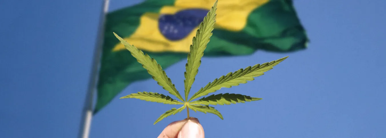 Imagem ilustrativa da imagem STF volta a adiar o julgamento sobre porte de maconha