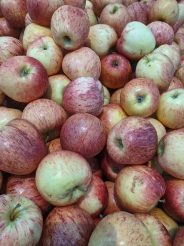 A maçã teve redução de 20% no supermercado Guanabara