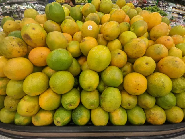 A laranja teve queda de preço no Guanabara e no Mundial