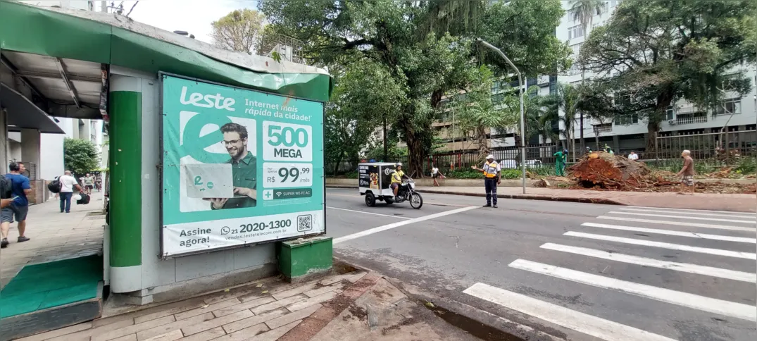 Banca no Ingá segue sem luz após queda de árvore