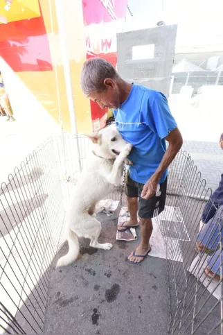 Dezoito animais foram adotados, sendo 15 cães e três gatos