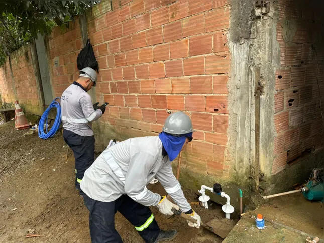 Trabalho está a todo vapor