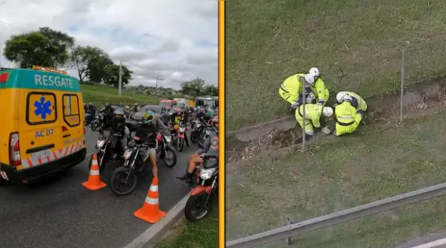 Porco interrompe circulação na Niterói-Manilha na manhã desta quarta-feira