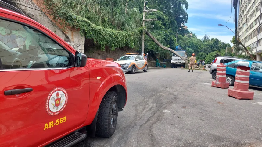 Bombeiros, Enel, NitTrans e Seconser estão no local