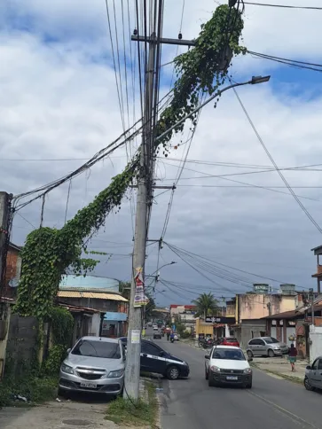 Poste coberto pela vegetação na Avenida Humberto Soeiro de Carvalho ( antiga Avenida São Paulo)