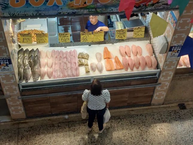 Durante quinze dias, setores produtivos promoverão ofertas de peixes e frutos do mar