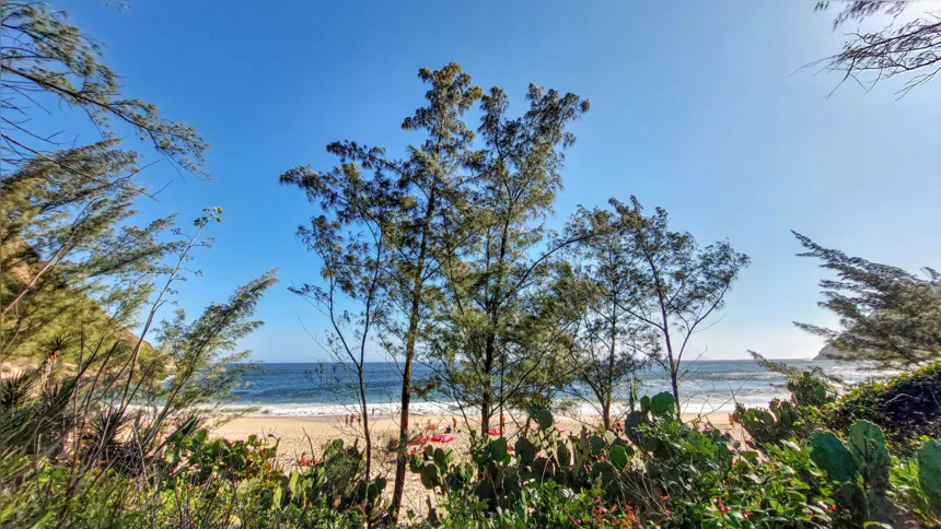 Imagem ilustrativa da imagem Símbolo de beleza com uma natureza exuberante, Praia de Itacoatiara é cartão postal de Niterói