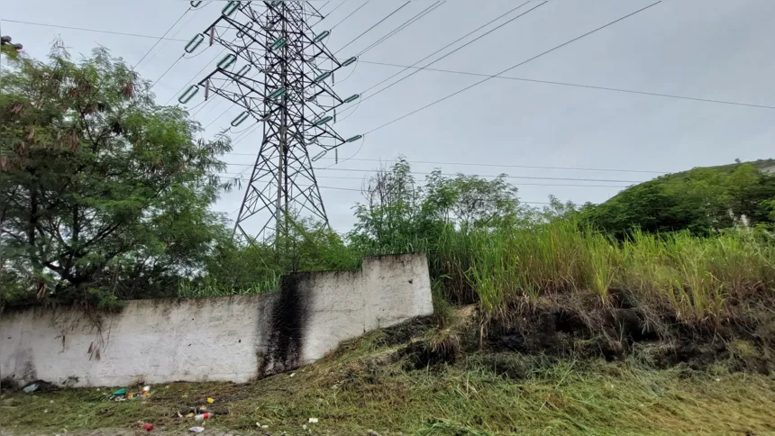 Terreno onde Vera foi encontrada