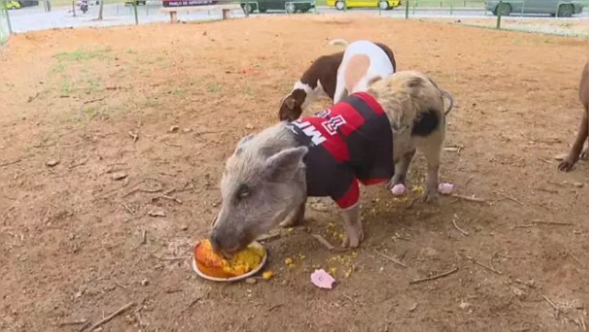 Pablo de Arrascaeta comendo o bolo de milho que ganhou pelo aniversário de dois anos de idade