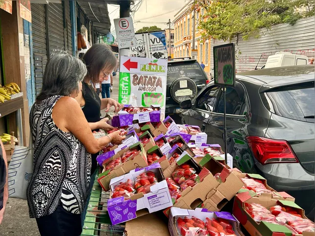 Consumidores comemoram a queda do preço comprando a fruta