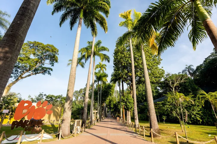 BioParque do Rio prepara promoção especial para celebrar o Mês das Mães