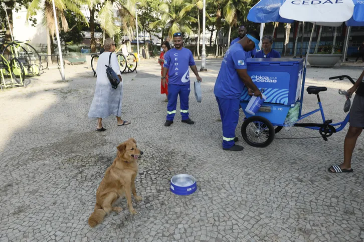 Para manter a água sempre fresca, foram utilizados 1.550 kg de gelo