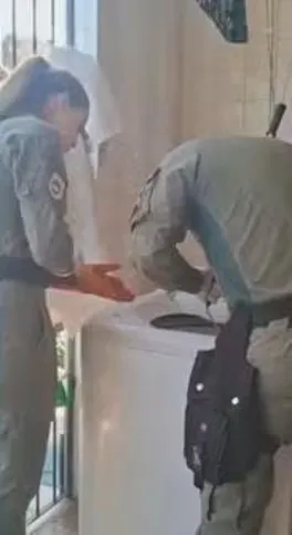Guardas Municipais foram chamadas para retirar o animal da máquina de lavar