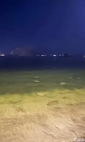 Moradores registraram o momento em que dezenas de arraias apareceram na Praia das Flechas
