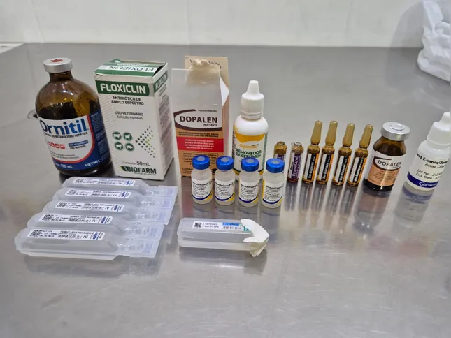 Diversos medicamentos vencidos foram descartados