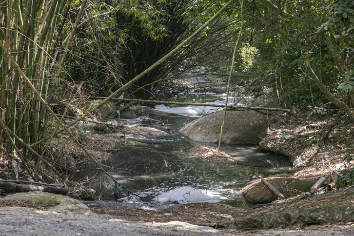 Os moradores da localidade tentam recuperar o Rio Sapê