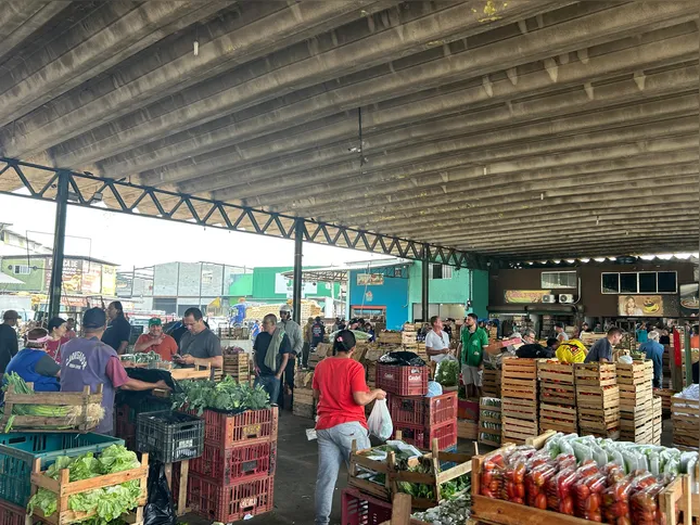 Para os produtores, comerciantes e confeiteiros, o "hype" dessa nova paixão culinária tem rendido bons frutos