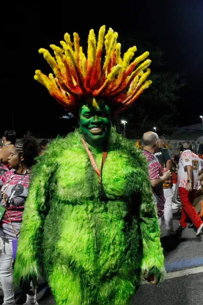 Veja o desfile da Porto da Pedra em fotos