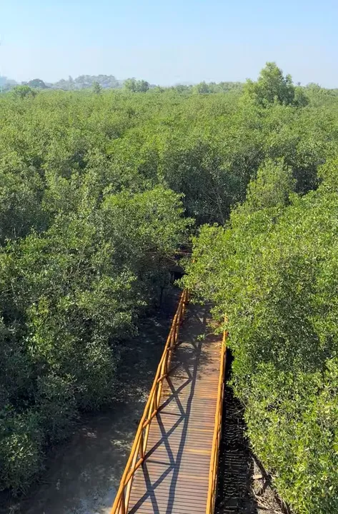 Com foco na conscientização ambiental e na inclusão social, a mostra passa agora a fazer parte da programação permanente do parque