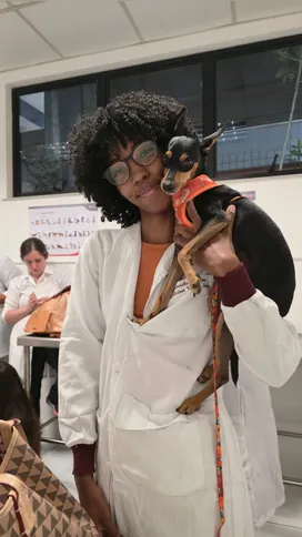 Imagem ilustrativa da imagem Alunos do curso de veterinária realizam aula prática de clínica com pequenos animais na Universo