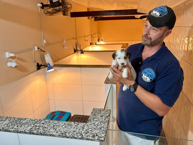 Os animais começam a competir ainda filhotes