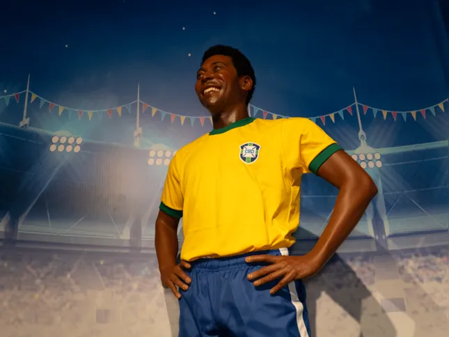 Imagem ilustrativa da imagem Dias de jogo do Brasil terão meia entrada no AquaRio, Museu de Cera, Mar de Espelhos e GEX