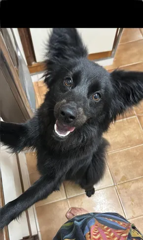 Alice sumiu após ser levada para um local seguro durante evento