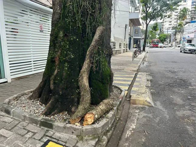 Ela não resistiu aos ferimentos e morreu no local