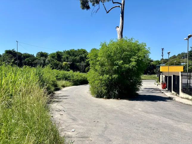 Em áreas de curva e entrada, o matagal dificulta a visão de quem trafega pelo local